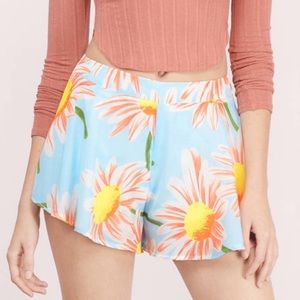 BRAND NEW TOBI Shorts with tags!